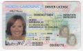 Drivers-license-eng.jpg
